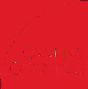 أوينز كورنينج للشركات