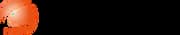 شركة سيلانيز