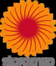 شركة Stora Enso Oyj
